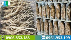 sam-day-ngoc-linh-bo-phoi-hau-covid