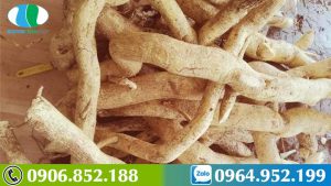 xao-tam-phan-co-ngam-ruou-duoc-khong-cong-dung-cua-xao-tam-phan-ngam-ruou