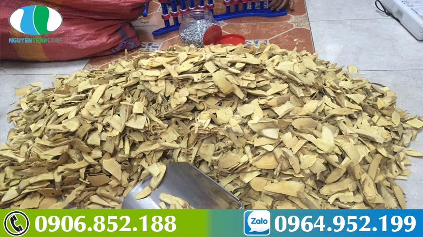 xao-tam-phan-la-khac-tinh-cua-5-dong-ung-thu