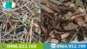 bai-thuoc-chua-viem-gan-b-ket-hop-giua-cay-an-xoa-va-ca-gai-leo