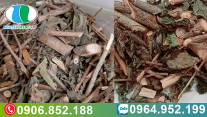 ung-thu-gan-nguy-hiem-nhu-the-nao-va-cach-dieu-tri-voi-cay-an-xoa