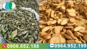 bai-thuoc-dieu-tri-ung-thu-ac-tinh-ket-hop-xao-tam-phan-va-xa-den