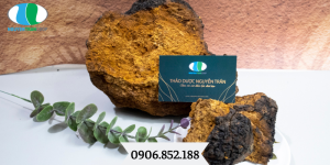 nam-chaga-tphcm