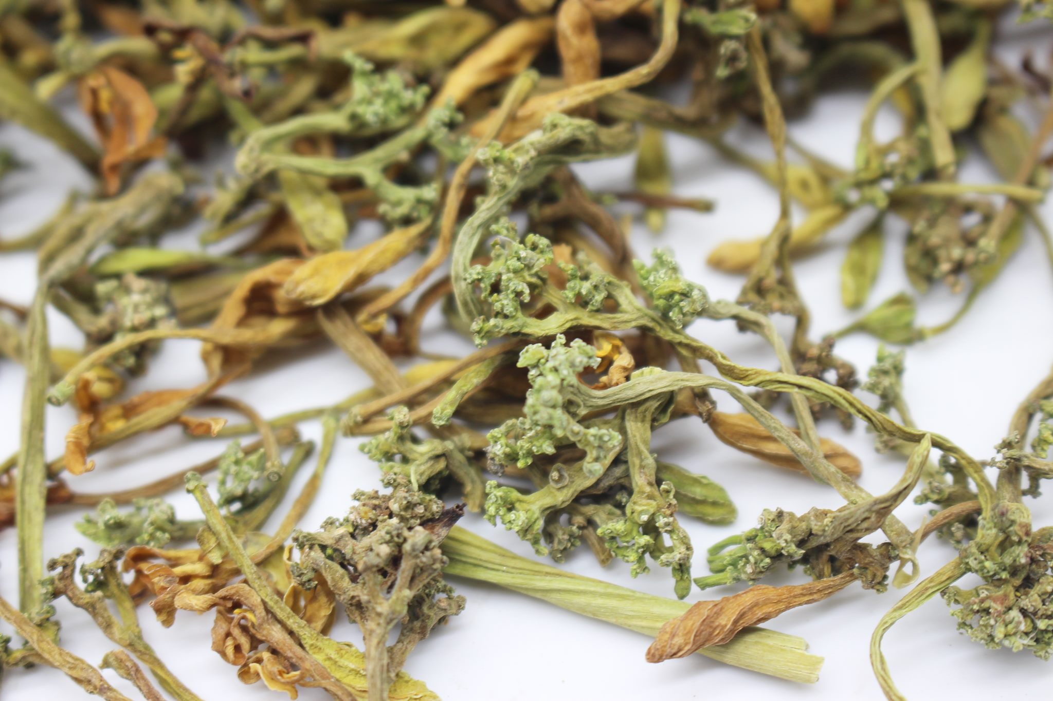 gia-ban-dia-chi-mua-hoa-du-du-duc-uy-tin-tai-tp-hcm