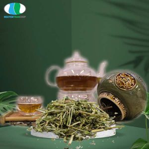 Cây Xương Khỉ