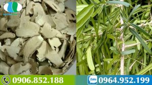 xao-tam-phan-co-ngam-ruou-duoc-khong-cong-dung-cua-xao-tam-phan-ngam-ruou