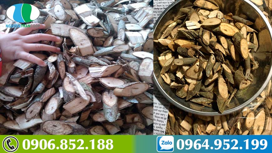 ho-tro-dieu-tri-xo-gan-voi-cay-an-xoa